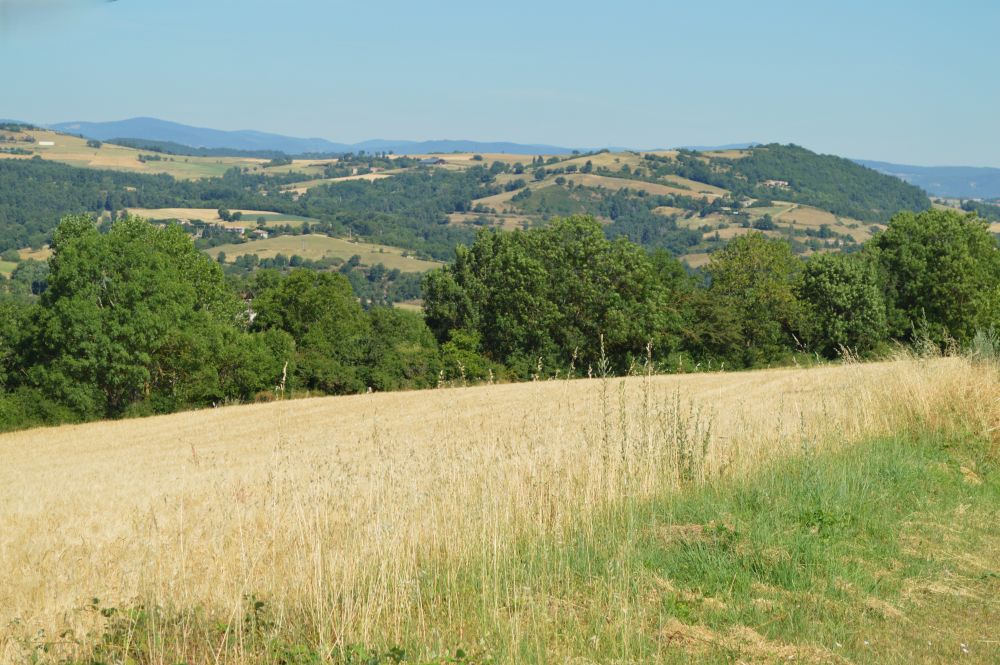 paysage de campagne