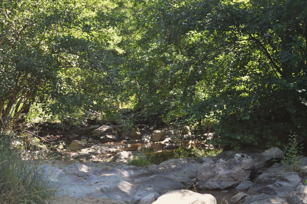 au bord de la rivière