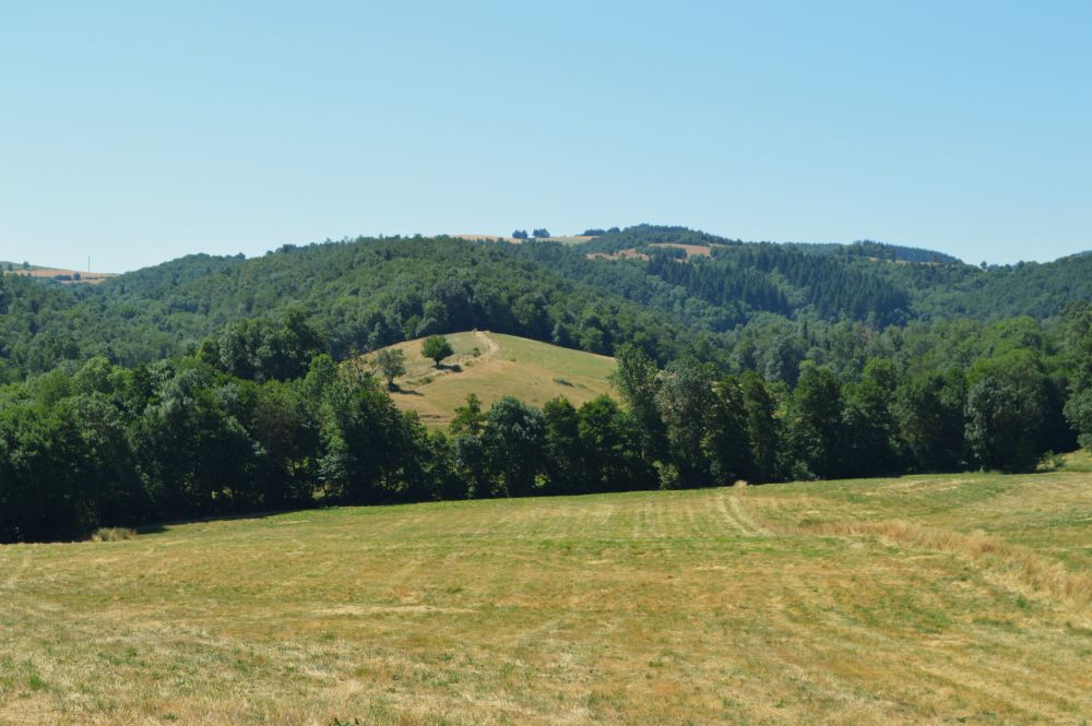 paysage de campagne