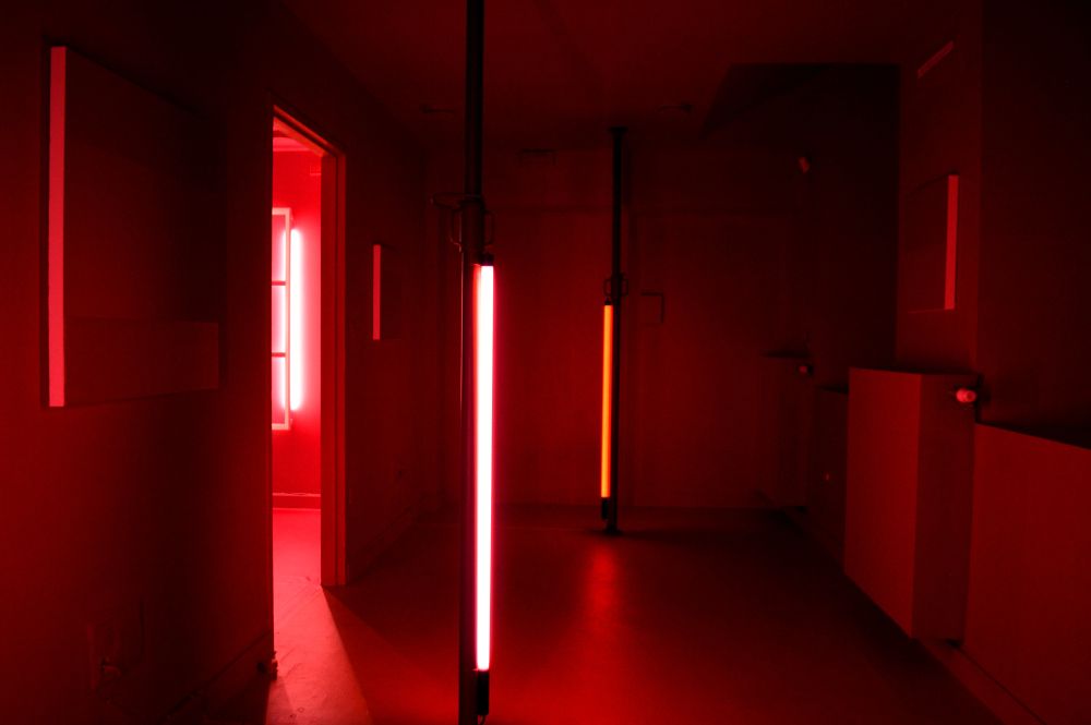 La vie en rose, une installation immersive de Philippe Chitarrini