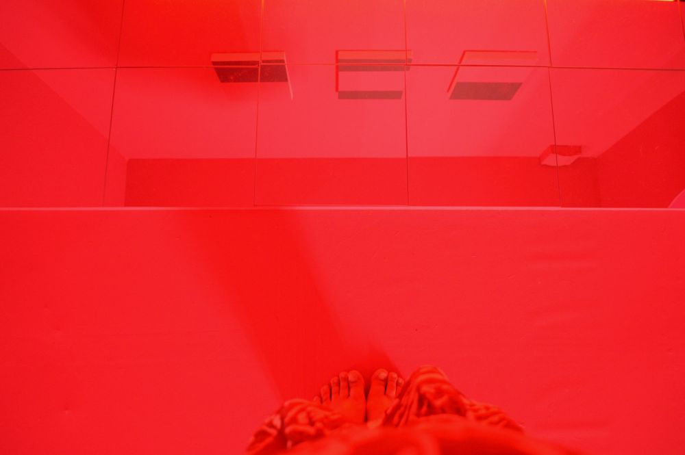 La vie en rose, une installation immersive de Philippe Chitarrini