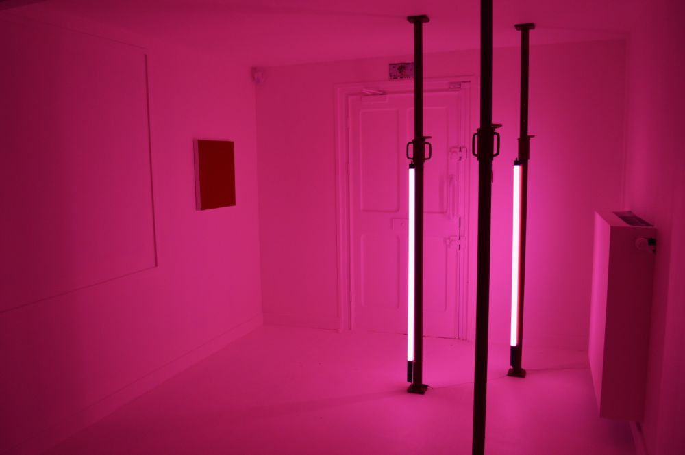 La vie en rose, une installation immersive de Philippe Chitarrini