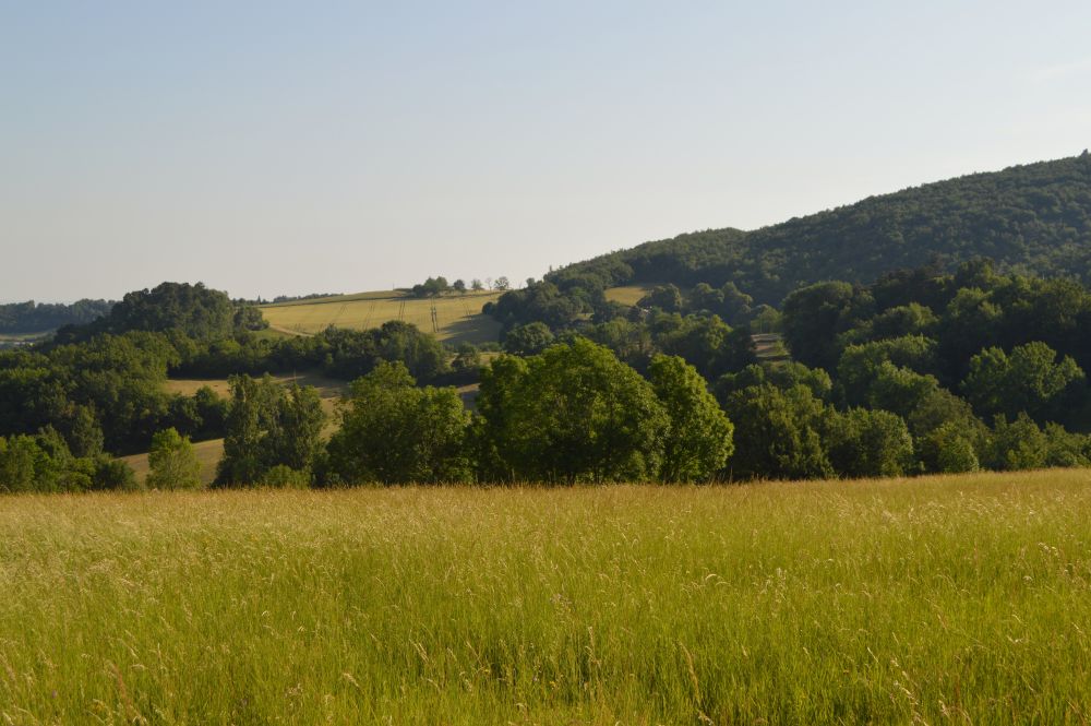 paysage de campagne