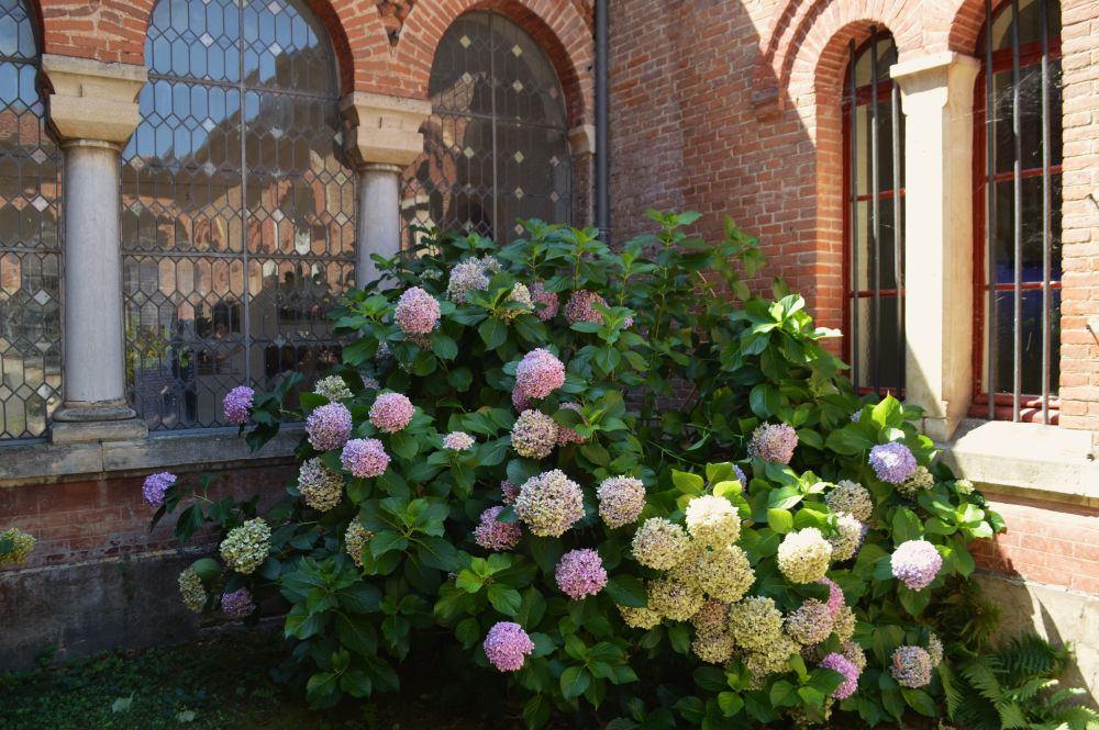 vue sur l'atrium de l'abbaye Notre Dame des Dombes