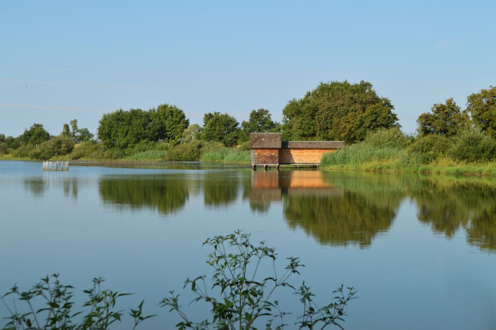 cabane d'observation ornithologique à l'étang Prêle dans la Dombes