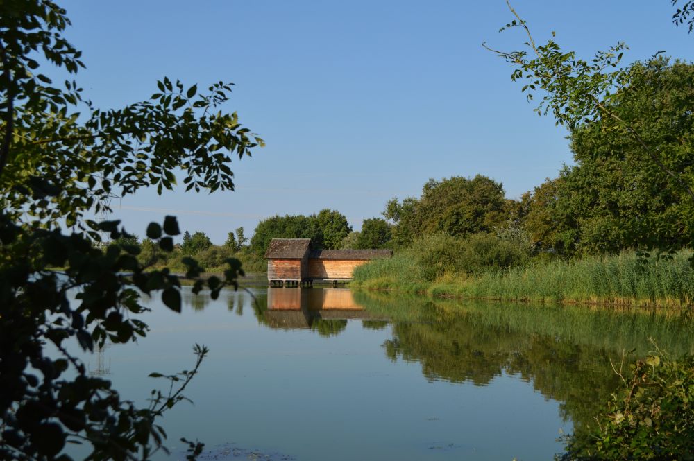 cabane d'observation ornithologique sur l'étang Prêle dans la Dombes