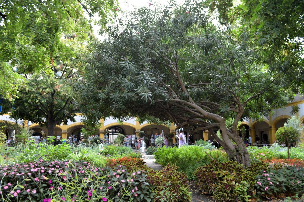 jardin de l'espace Van Gogh à Arles