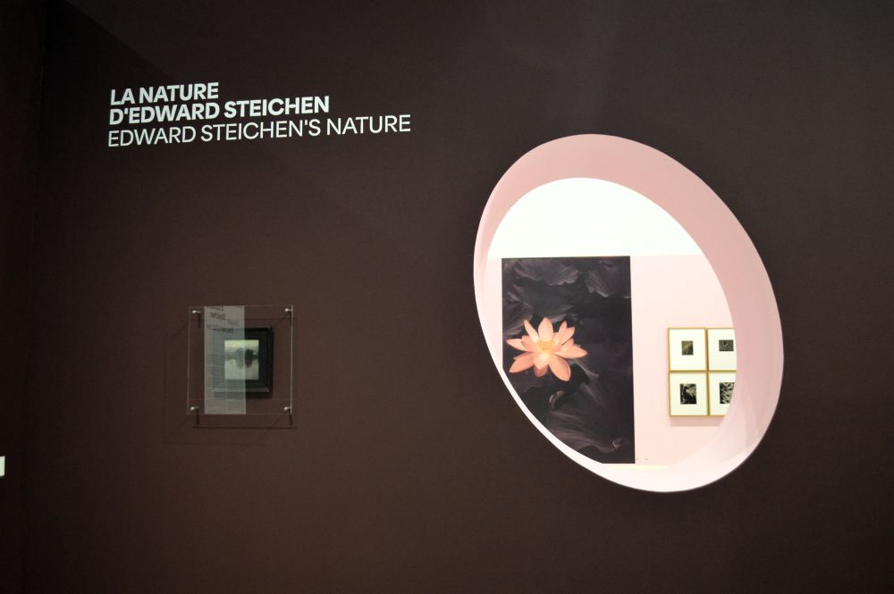 exposition La nature d'Edward Steichen à la Mécanique Générale à Arles 2026