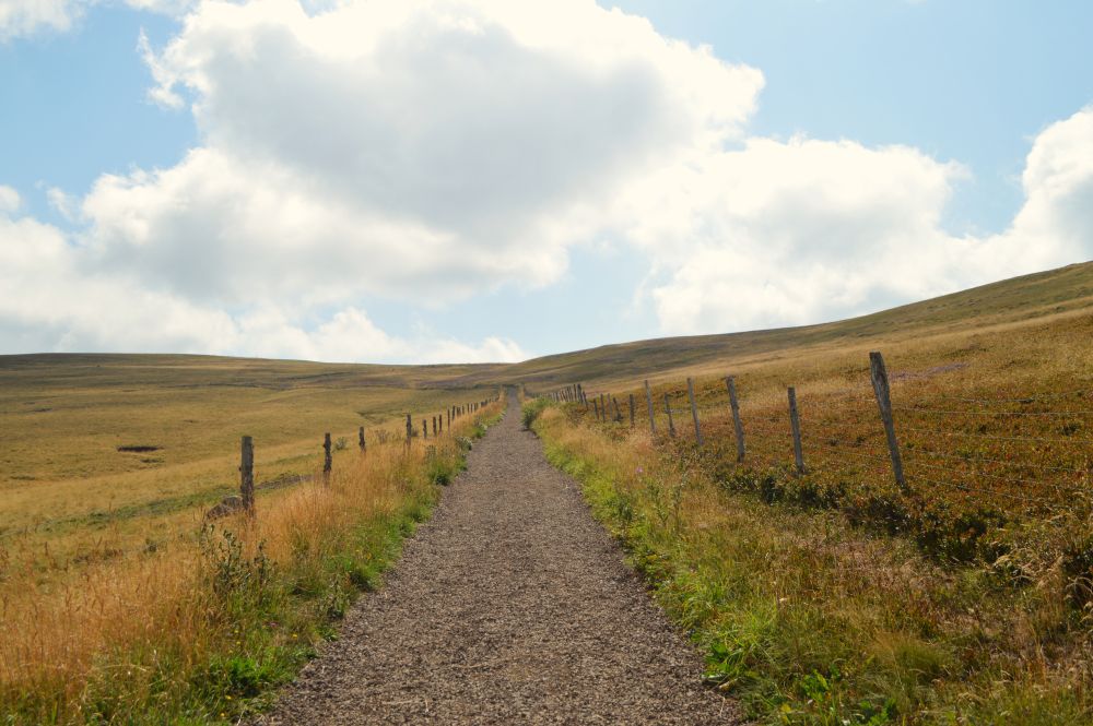 chemin vers la Banne d'Orchande