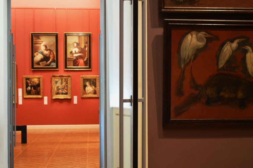 salles de peinture du musée des beaux arts de Rennes