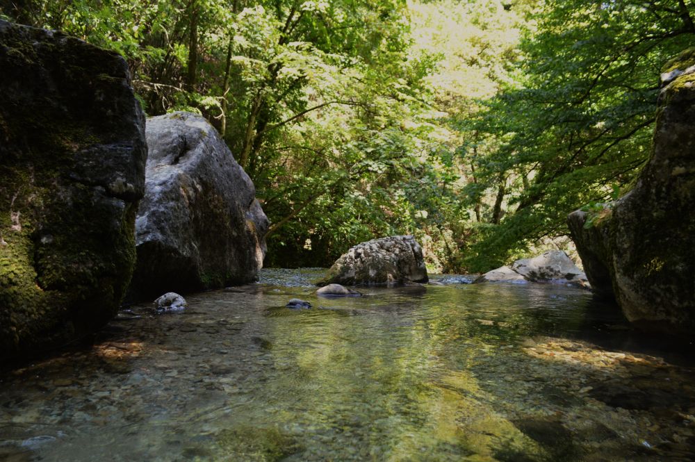 au bord du Germe