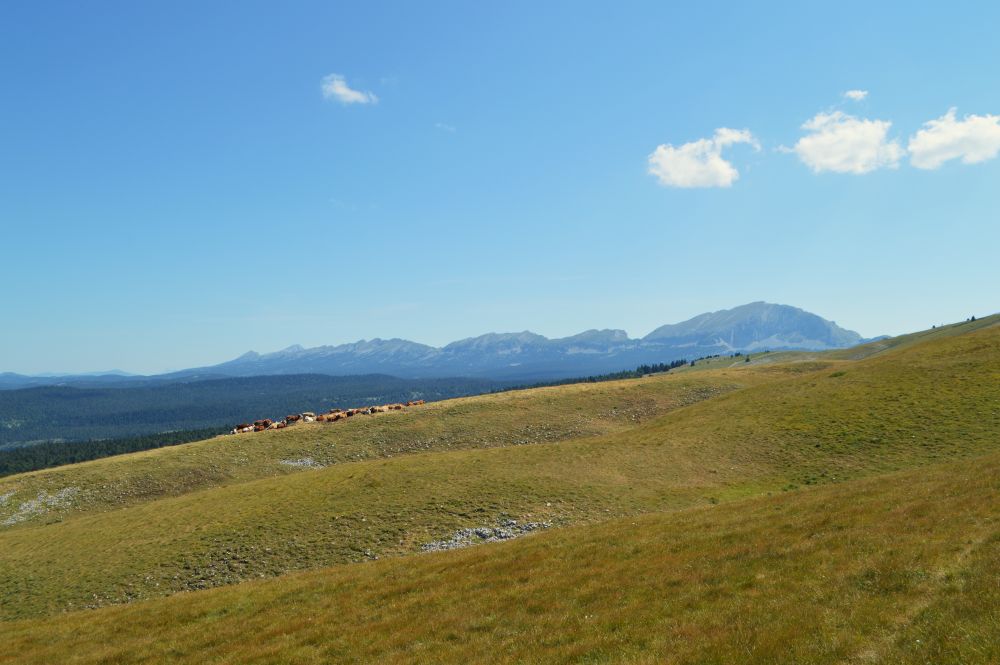 paysage du Vercors