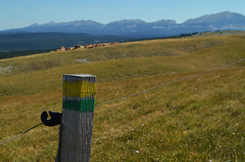 paysage du Vercors