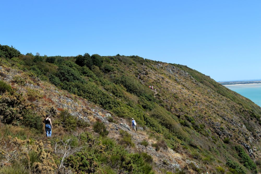 marcheurs sur la falaise de Carolles-Champeaux