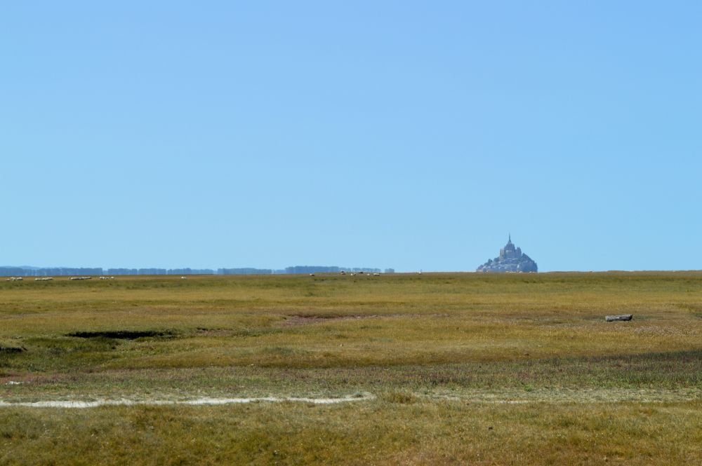 vue sur le Mont Saint Michel depuis la baie