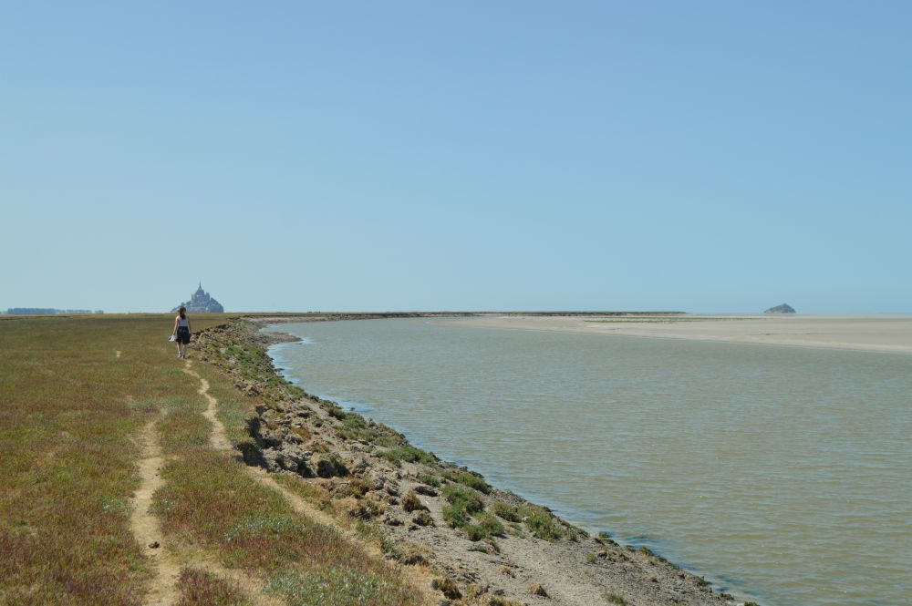 fleuve au bord du pré salé avec le Mont Saint Michel au fond