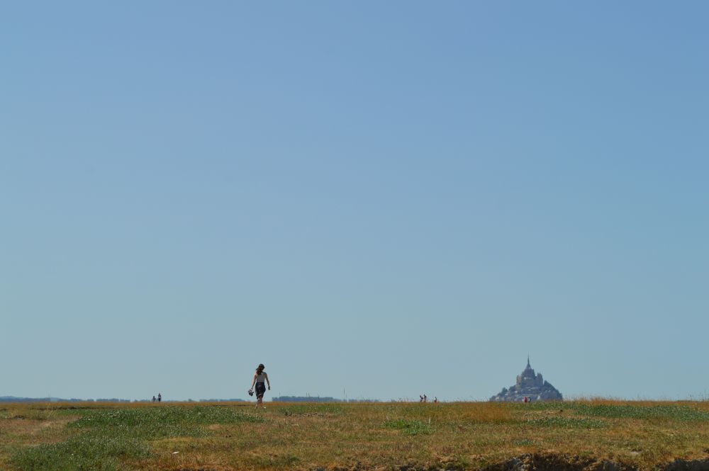 le Mont Saint Michel vu depuis les prés salés