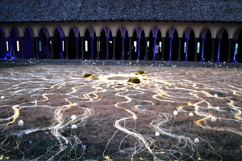réseaux lumineux dans le cadre de Colorama dans le cloitre du Mont Saint Michel