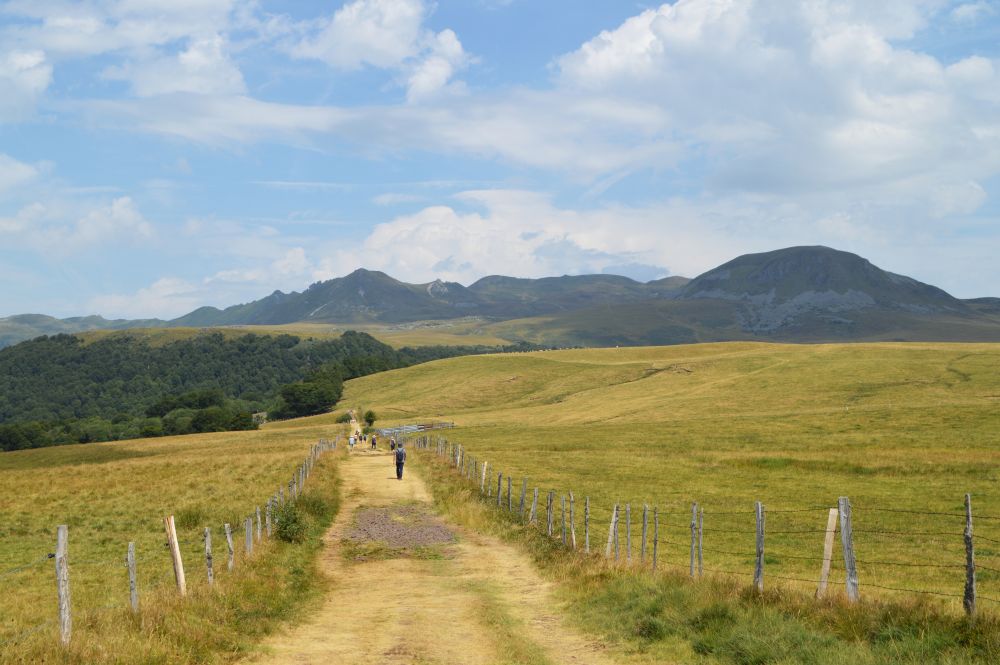 chemin dans le massif du Sancy