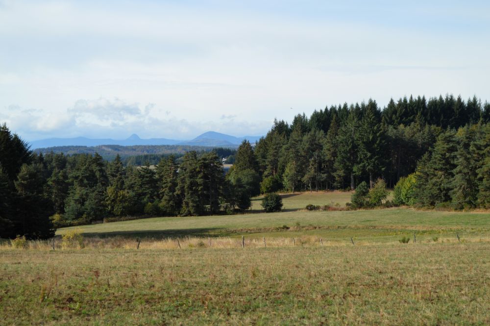 paysage du Velay