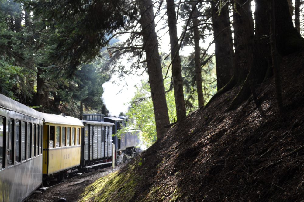 le train Velay Express 