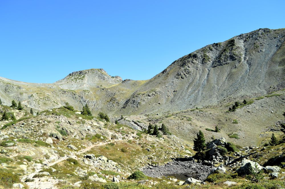 paysage de montagne avec une végération rase