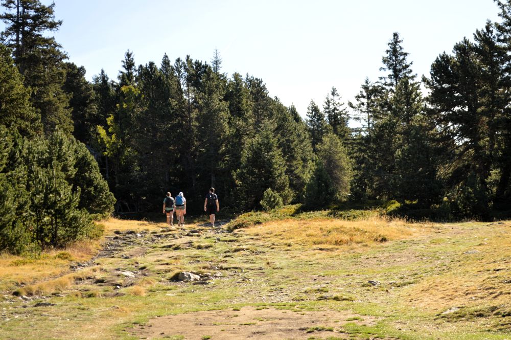 3 personnes sur un sentier en montagne