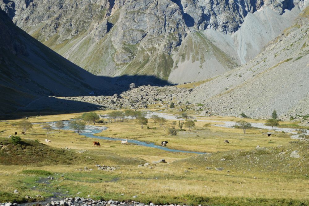 paysage de montagne