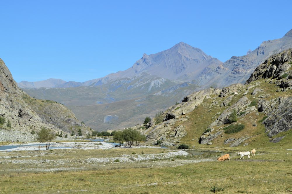 paysage de montagne dans le massif des Ecins