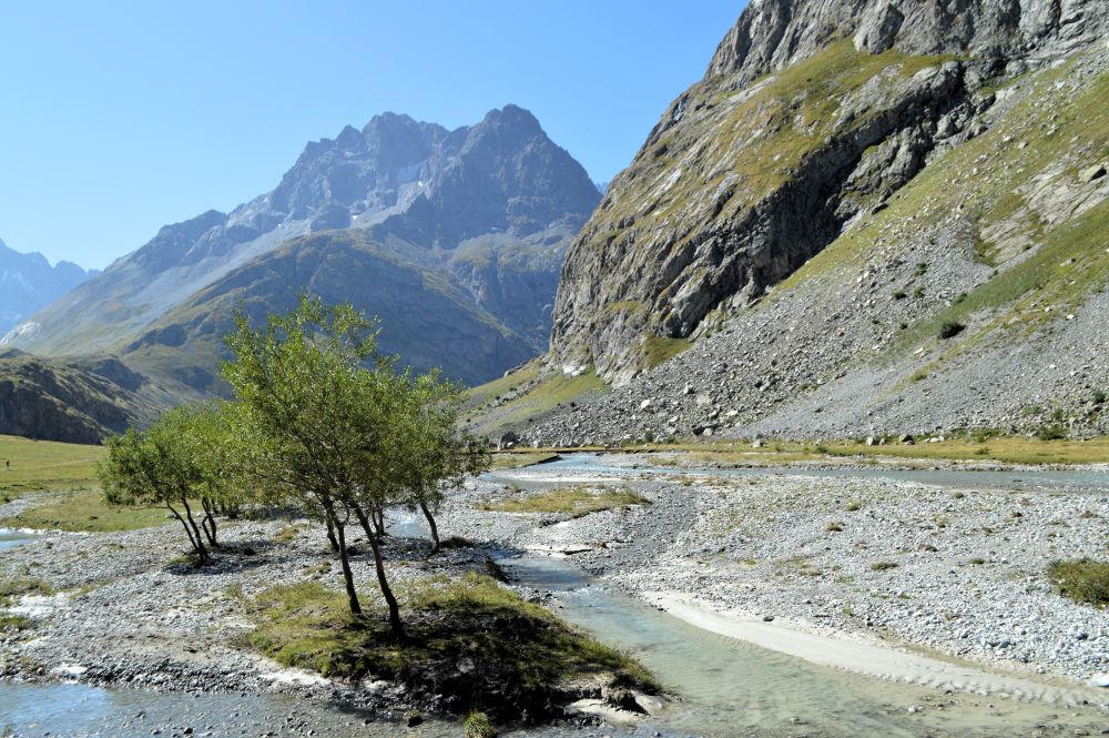 paysage de montagne avec une rivière