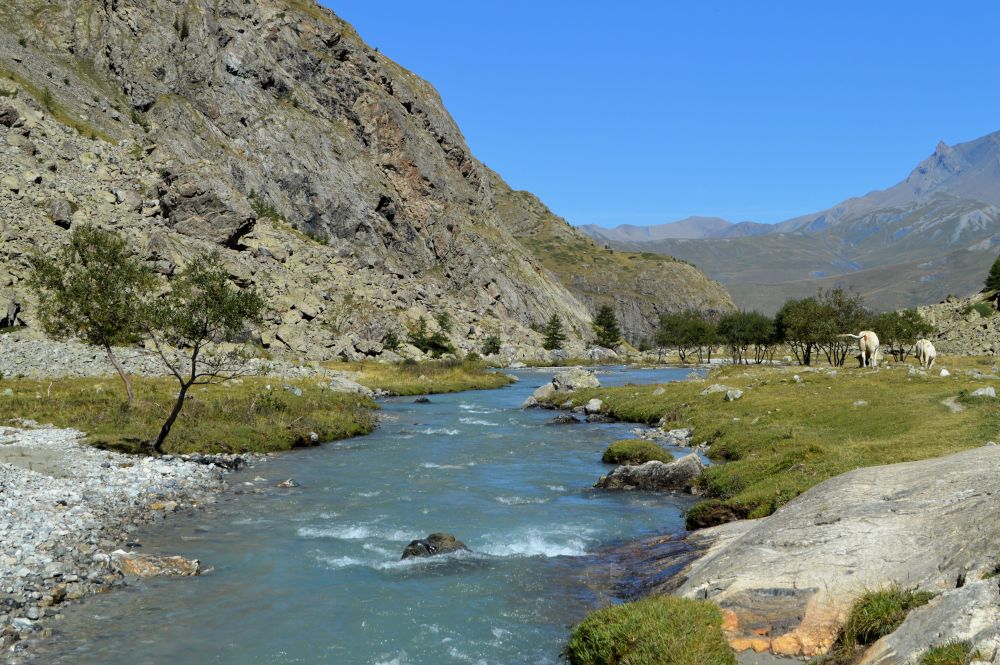 paysage de montagne avec une rivière