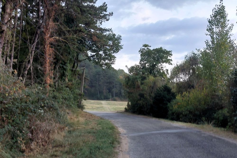 une route en campagne